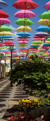  CITYSCAPE - A street lanterns and green plant on the walking passage under colorful umbrellas  © Wojciech Wrzesień