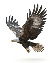 Obraz premium 3D illustration of a deep sea eagle in an attacking pose against a white background