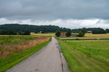 Pasture landscape with colorful grasses at the Danish countryside around Orslev, Denmark