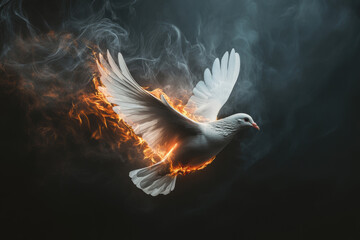 Dove in Flames.