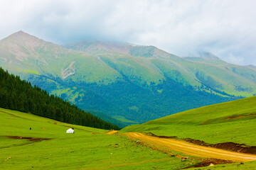 Fototapeta premium dirt road in Kyrgyz mountain hills at rainy summer day with a few horses and one white yurt