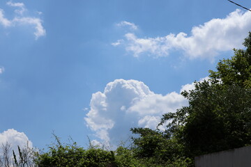 Canon EOS R10 
F/5.6
1/2000초
IOS -100 
47mm 