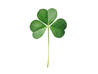 A minimalist digital illustration of a four leaf clover