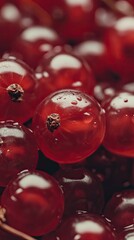 Close-up of fresh red currants with water droplets, showcasing vibrant color and texture, perfect for food photography.