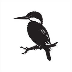 Fototapeta premium kingfisher icon design