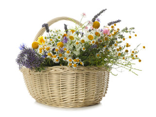 Beautiful wildflowers in wicker basket isolated on white