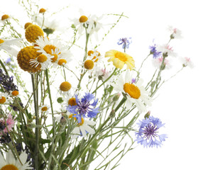 Bouquet of beautiful wildflowers isolated on white