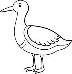 Delightful woodcock with long beak line drawing radiates happiness
