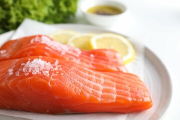 Pieces of fresh salmon with salt on white table, closeup