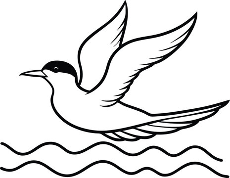recommend clip art: Happy tern gliding gracefully over ocean waves in minimalist line art
                    