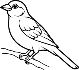 Joyful line art of a sparrow perched on a branch
