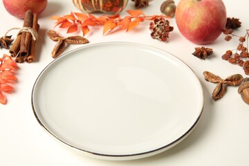 Stylish plate and autumn decor on white background