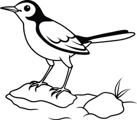 Vector art of a wagtail hopping highlights its vibrant and animated motions
