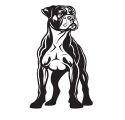 Boxer Dog Standing Vector. Boxer Dog Standing Vector Illustration