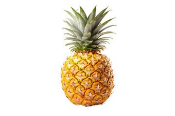 Fresh Pineapple on White Background