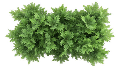 Fototapeta premium Vibrant green foliage showcasing lush leaves, perfect for nature-themed projects and designs. Ideal for organic and fresh visuals.