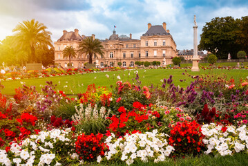 Jardin du Luxembourg in summer bloom in Paris, France. Many flowers and a palace