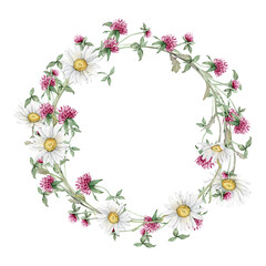 Chaplet or circlet of flowers with clover and chamomile or daisy. Wreath of red flower meadow, forest flowers. Watercolor hand painting botanical illustration on isolate.