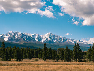 Obraz premium Majestic snow-capped mountains tower over serene green forest under bright blue sky