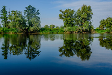 Bäume spiegeln sich in einem Fluß