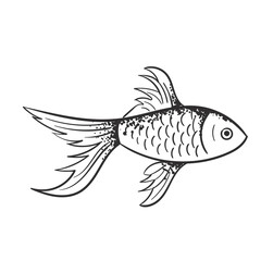 Elements Golden Fish