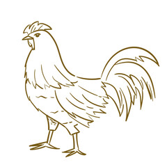 Farm Animal Chicken