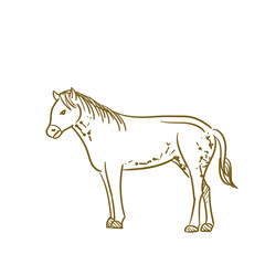 Farm Animal Horse