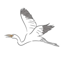 White Crane Poses