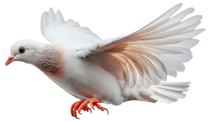 Obraz premium PNG White dove in mid-flight with wings spread