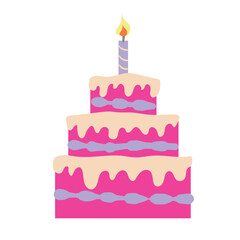 Birthday Party Cake