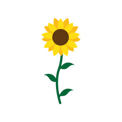 Sunflower logo icon