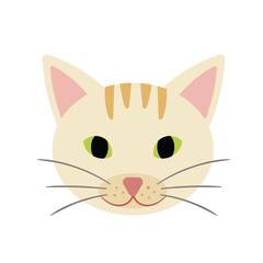 Animal Baby Face Elements Cat