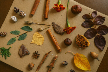 A child makes a herbarium in an album from autumn colorful red, yellow and brown leaves. Happy autumn time