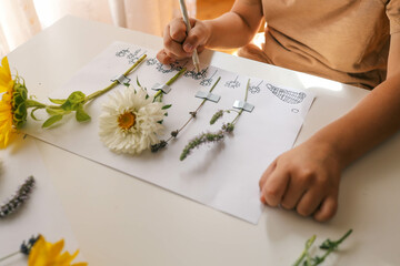 A child makes a herbarium of summer flowers with his own hands, an idea for creativity