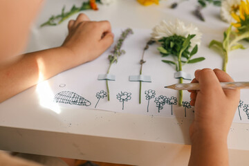 A child makes a herbarium of summer flowers with his own hands, an idea for creativity