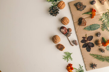 A child makes a herbarium in an album from autumn colorful red, yellow and brown leaves. Happy autumn time