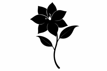 Clematis flower silhouette black vector art illustration