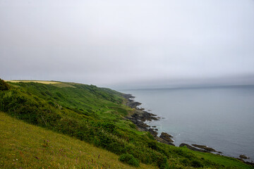 Obraz premium the South West Coast path along the Rame Peninsula in Mount Edgcumbe Country Park Cornwall England on a misty summer day