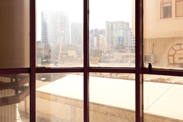 Common Redstart perched on window inside a building, Bahrain