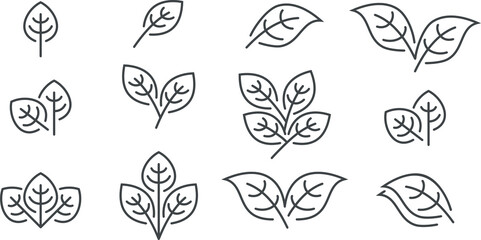 Hand drawn leaves. Leaf Types Line Icon Set