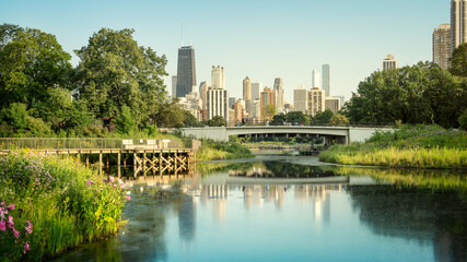 the skyline of chicago and the beautiful lincoln park