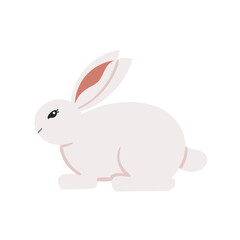 Obraz premium Rabbit Set