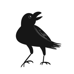 Raven Bird