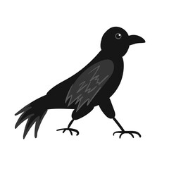 Raven Bird