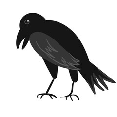 Raven Bird