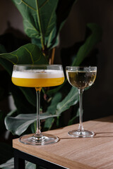 Two elegant cocktails standing on table in front of plant