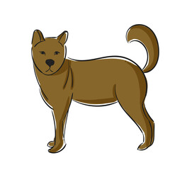 Dog Breed Akita