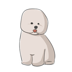 Dog Breed Bichon Frise 