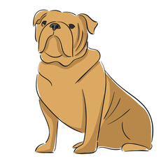 Dog Breed Bulldog