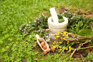 Different ingredients for tincture, mortar and pestle outdoors